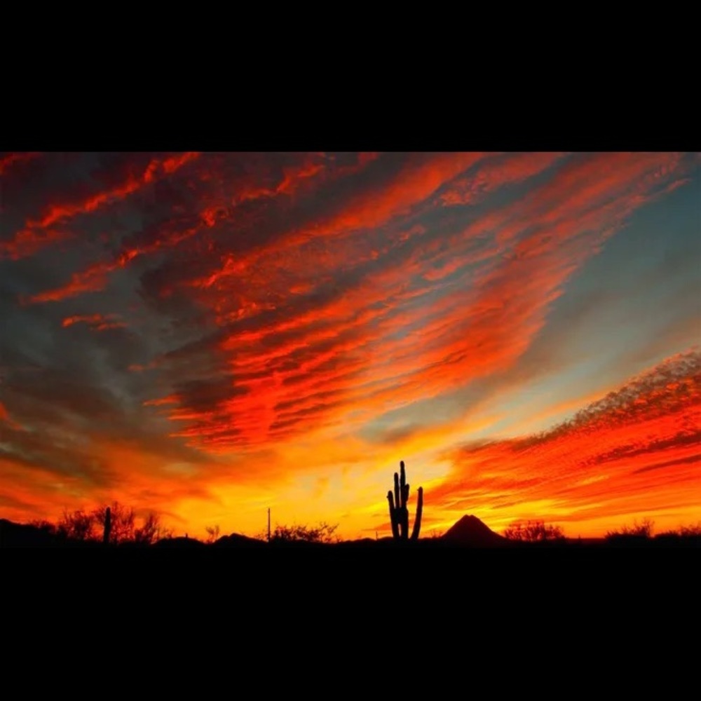 Meet your Posher, Bailey